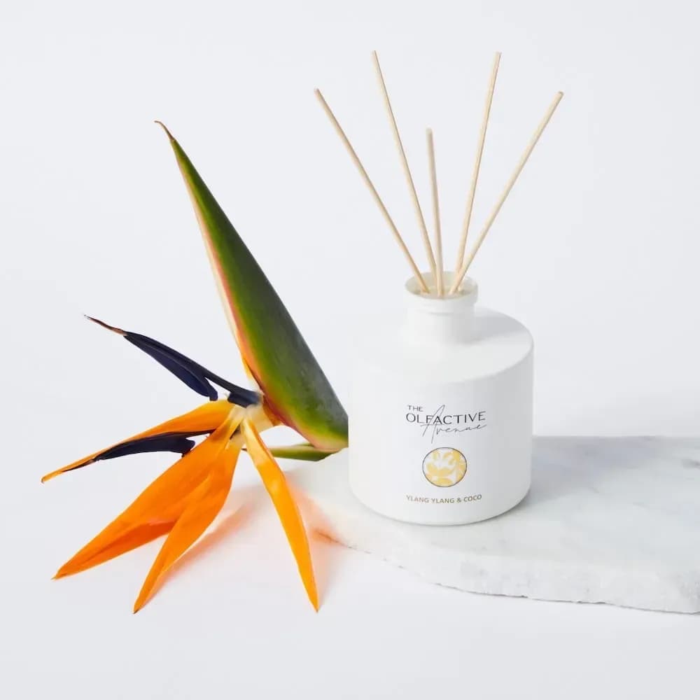 YLANG YLANG and COCO RAUMDUFT - Raumdüfte aus Deutschland